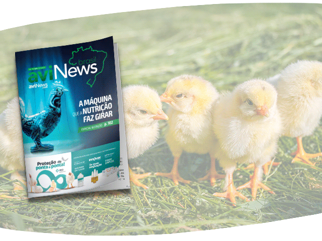 Sumario Doença de gumboro um desafio constante na avicultura moderna