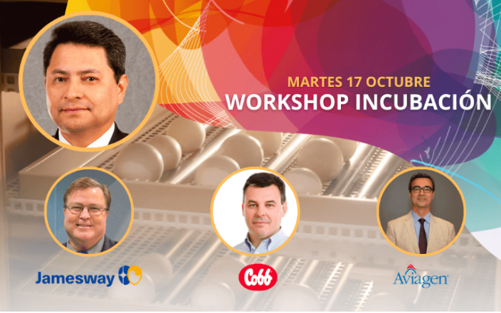 Disponible Programa del Workshop de Incubación para el LPN Congress 2023