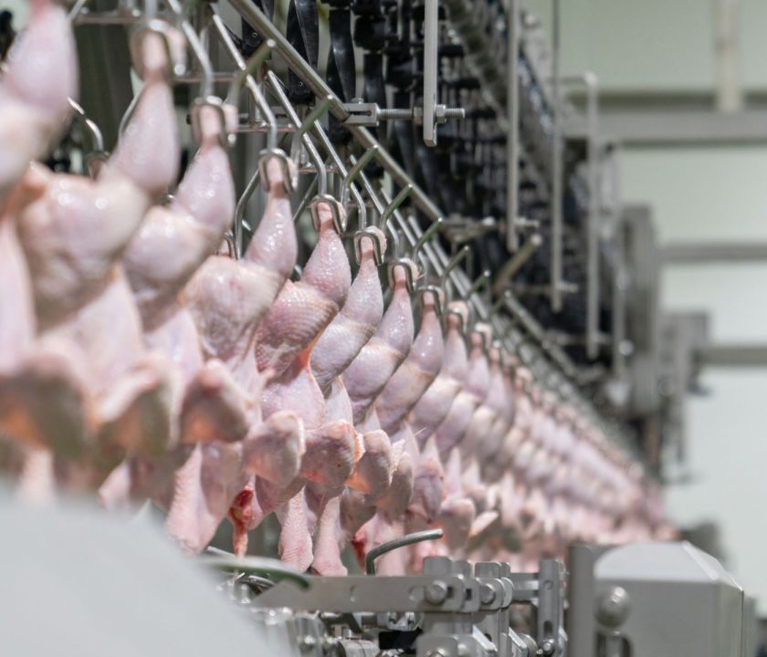 Exportaciones brasileñas de carne de pollo crecen 8,5% en primer semestre 2023