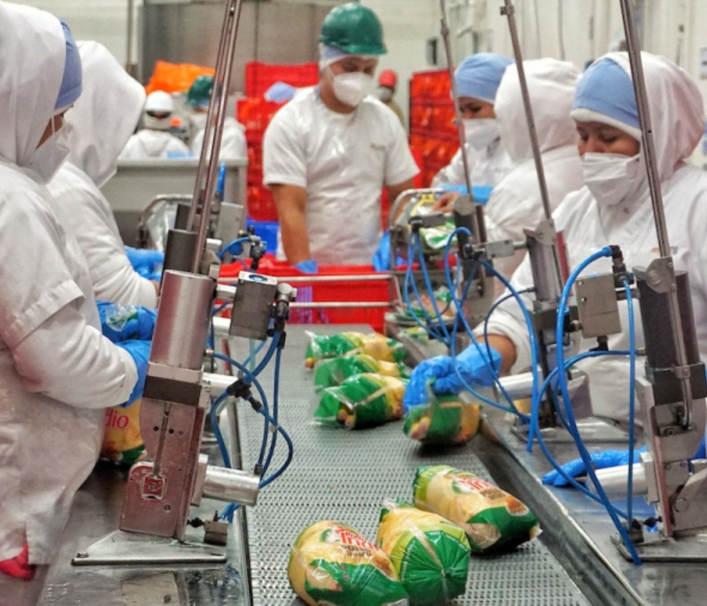 El Salvador: CMI Alimentos invierte US$7 millones en mejoras su planta procesamiento avícola