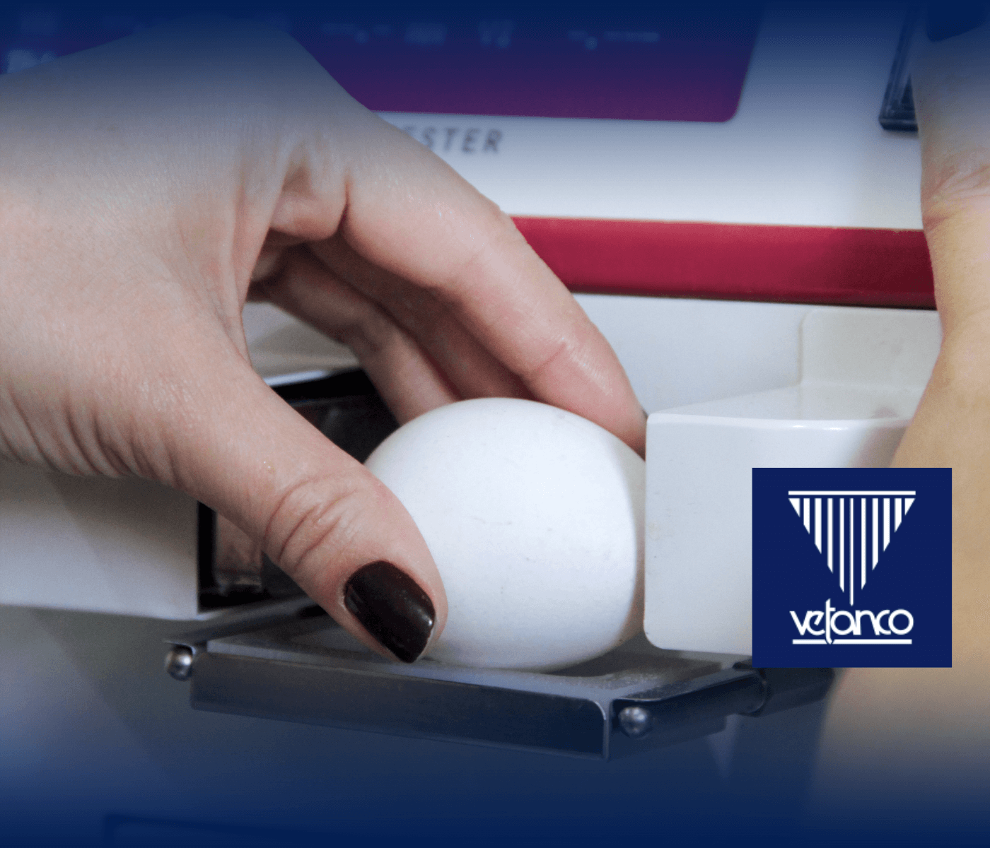 Concurso da Qualidade de Ovos da Festa de Bastos tem Egg Tester fornecido pela Vetanco Brasil      