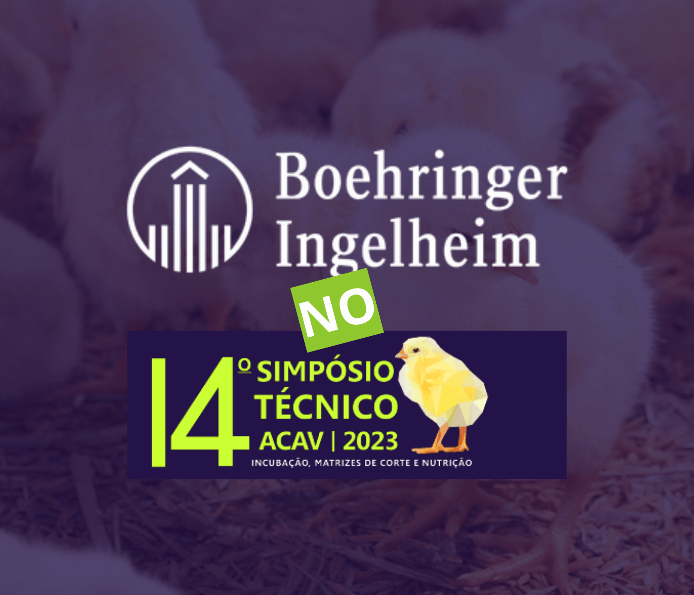 Boehringer Ingelheim fortalece compromisso com Saúde Única na indústria avícola...