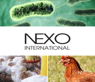 NEXO AGRO: Investindo em Inovação e Saúde Animal com a...