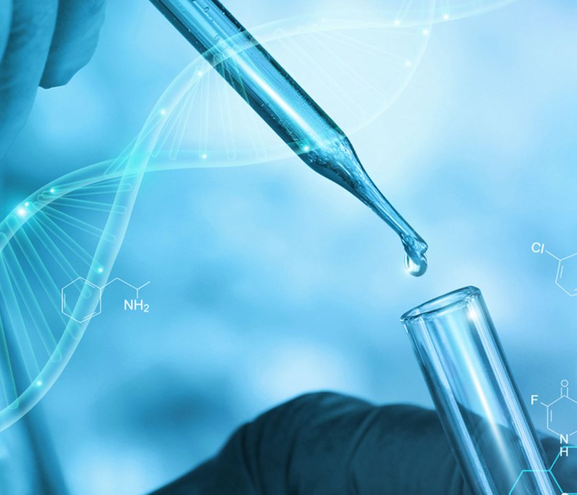 Salmonella en ponedoras y reproductoras, ¿qué vacunas utilizar?