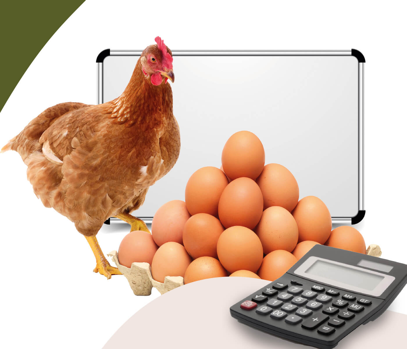 O mercado de insumos e as perspectivas para a produção de ovos