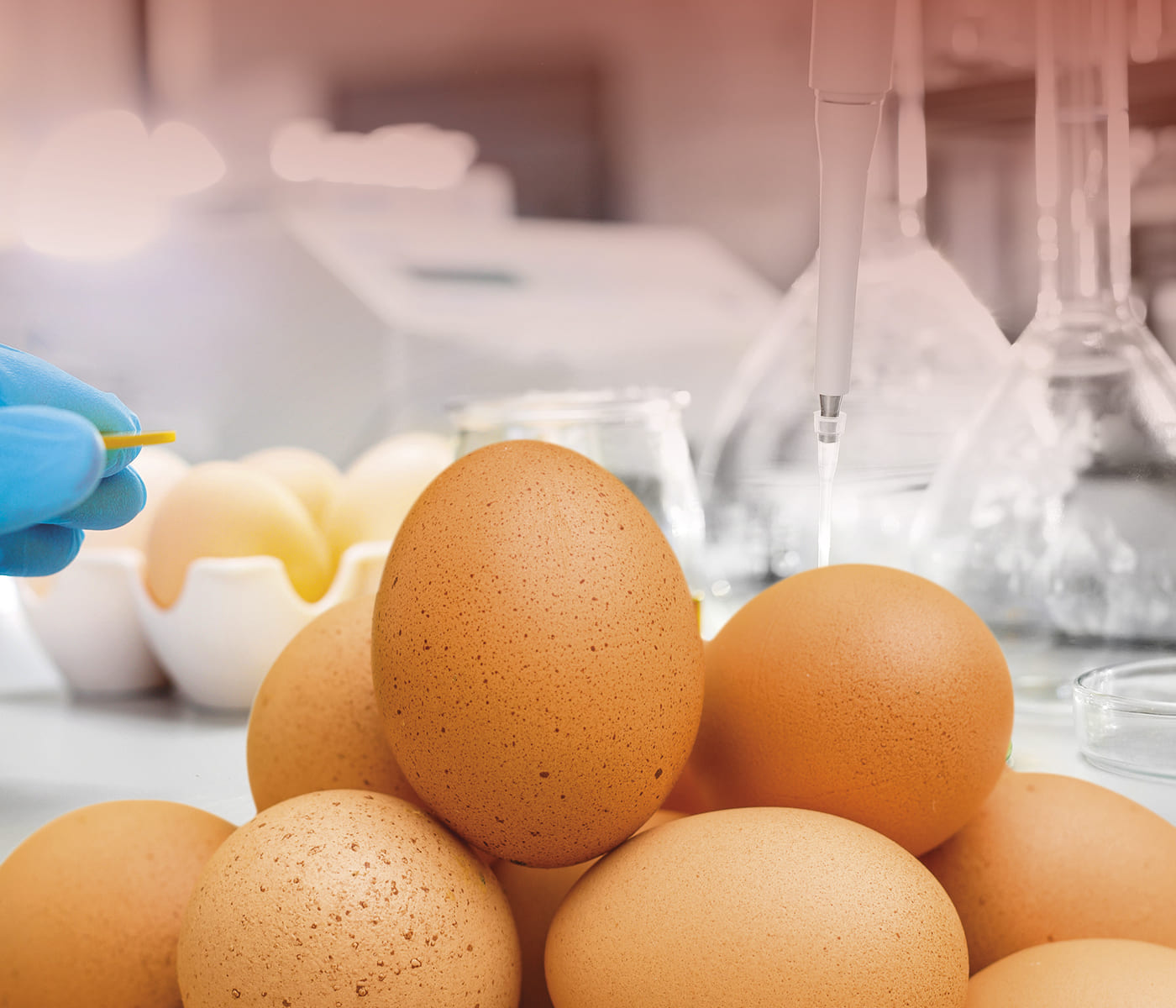Diferentes metodologías de tratamiento de la cáscara de huevo: Impactos sobre la calidad física y microbiológica de huevos comerciales