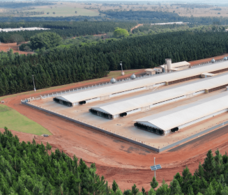 Cobb-Vantress anuncia novo incubatório e ampliação de granja com investimentos de mais de R$ 70 milhões