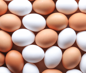 Exportações de ovos crescem 381,6% em agosto