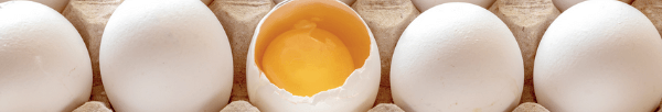 Nova cesta básica brasileira incorpora ovos como item essencial