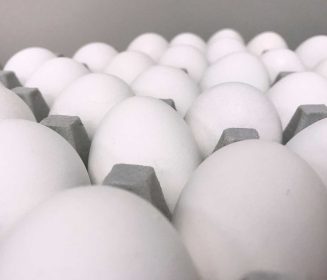 Producción Positiva: AO-Biotics® EQE ofrece nuevas soluciones para productores de huevos