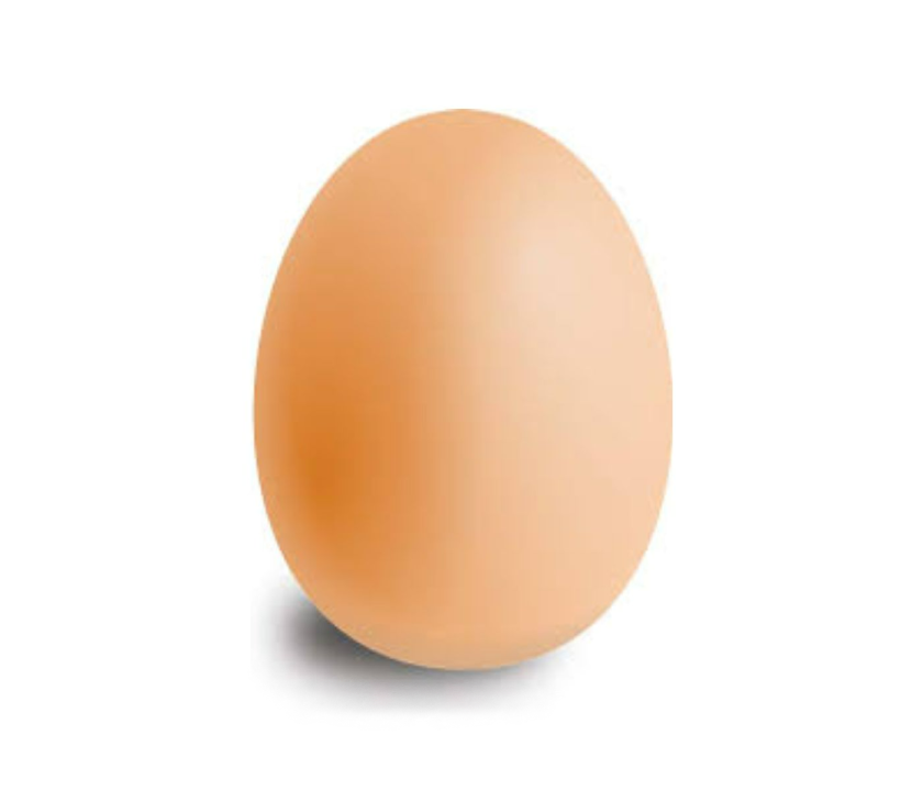 Un sistema de incubación automatizado mejora producción de huevos