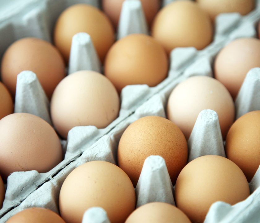 Normas de comercialización de huevos: novedades