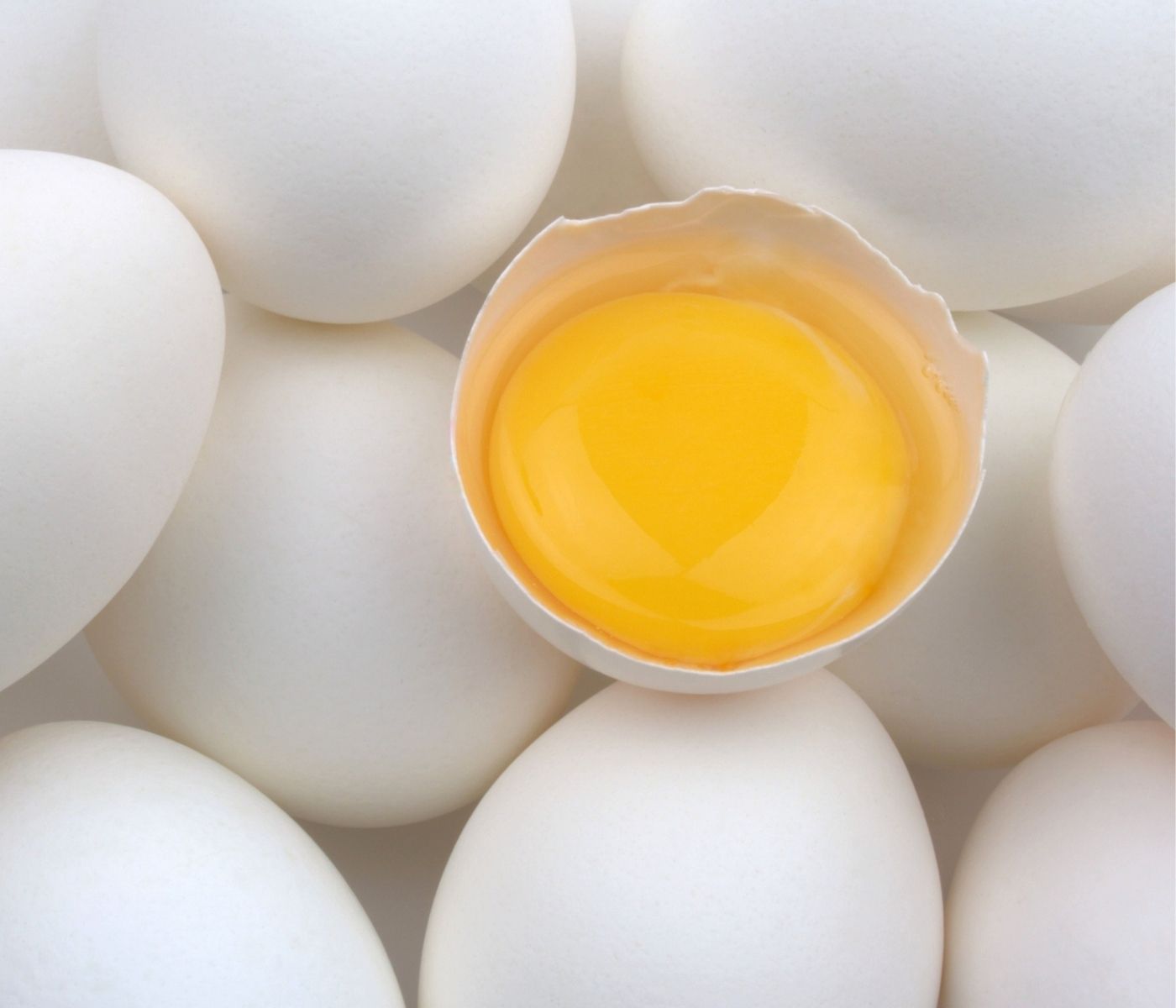 Perú aprueba importación de ovoproductos desde Argentina