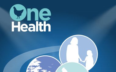Ceva Salud Animal enfatiza su compromiso One Health con la salud avícola con motivo del Día Mundial del Huevo