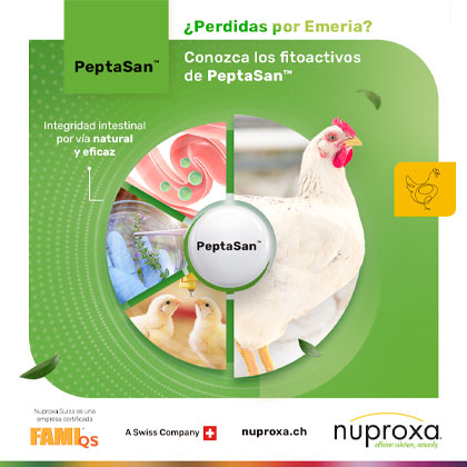 nuproxa robapaginas octubre