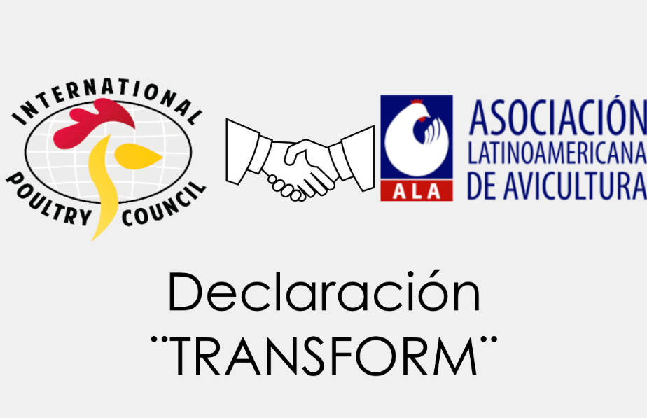 Avicultores latinoamericanos de ALA se suman en promover el uso racional de antimicrobianos en la producción avícola