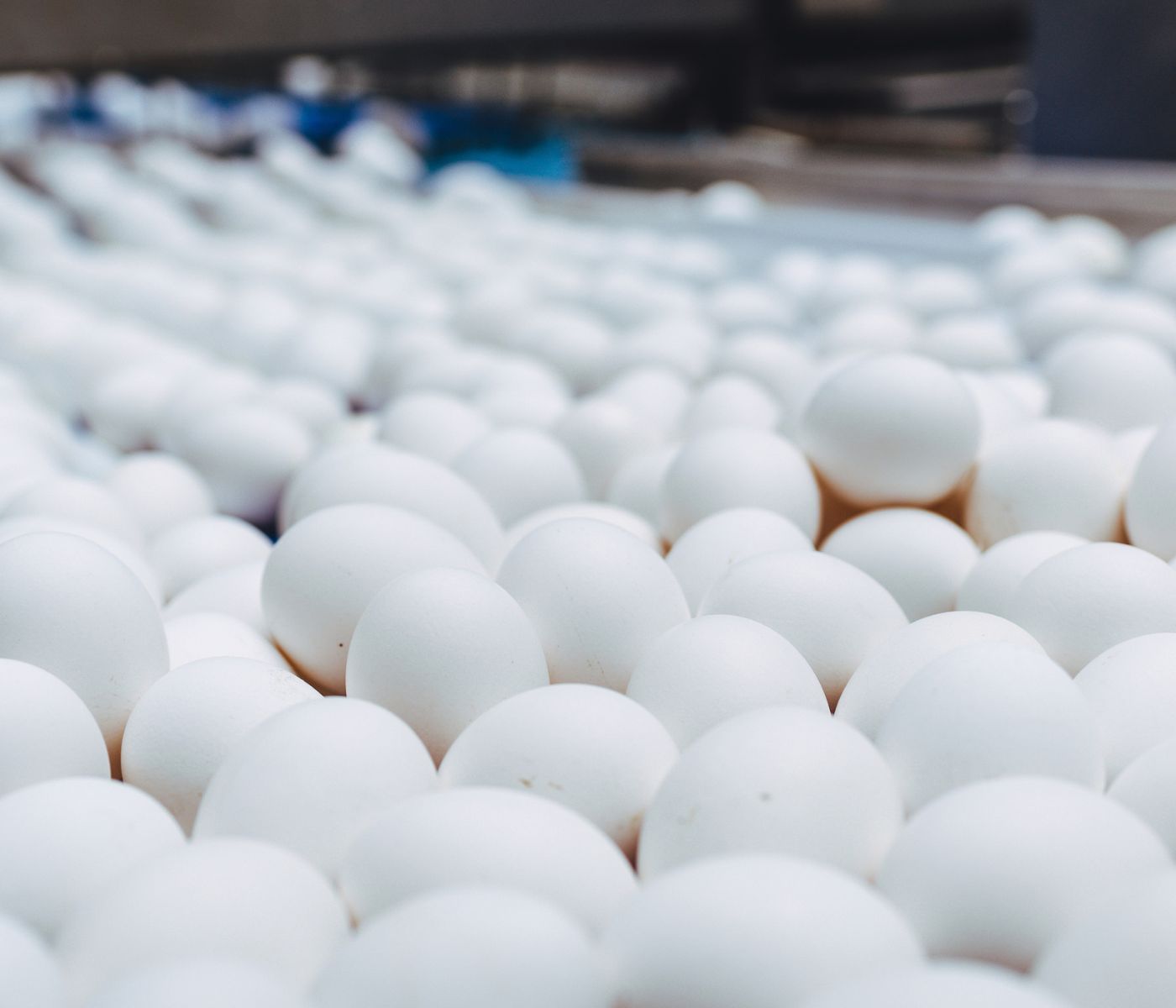 Exportaciones brasileñas de huevos crecen un 180,9% en 2023