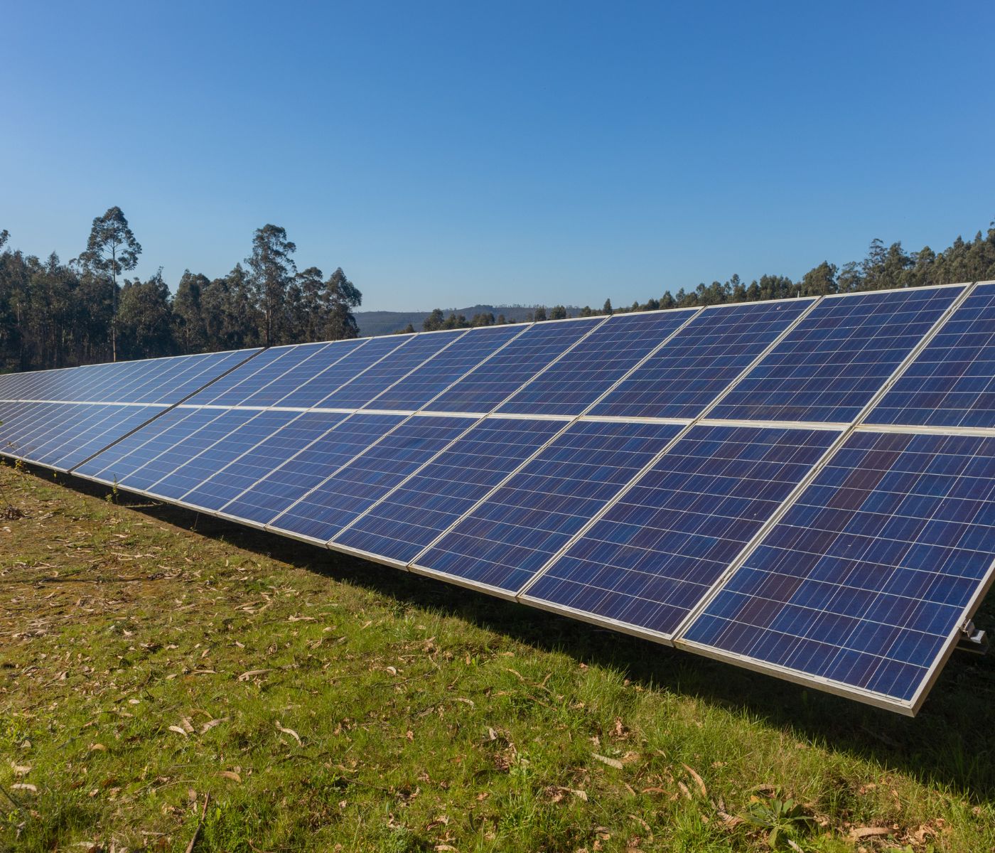 Instalan paneles fotovoltaicos en granja avícola boliviana