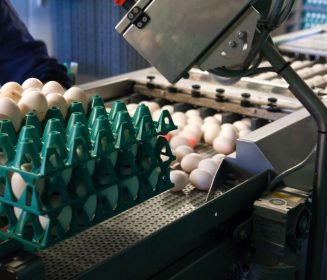 Chile: Producción de huevos muestra una contracción interanual del 2,8%