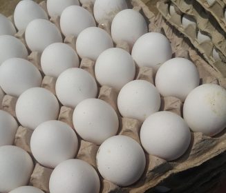 México: Tras 2 brotes de Influenza Aviar H5N1 prevén precios del huevo estables en Sonora