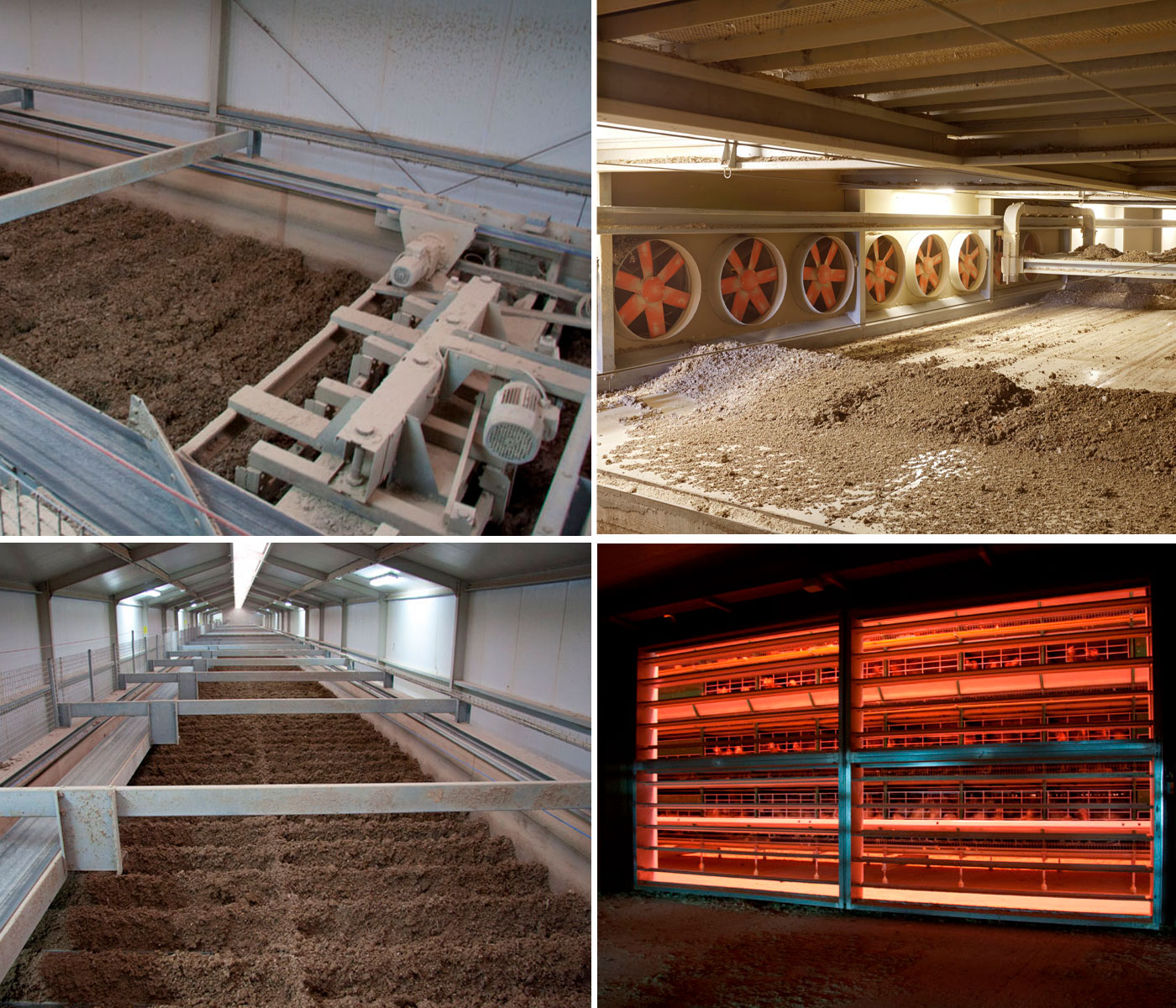 Chicken Manure Drying: without odors, insects and gases derived from ammonia