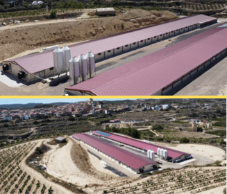 Granja Avícola Boix Llop en Batea: Innovación y eficiencia en la producción avícola