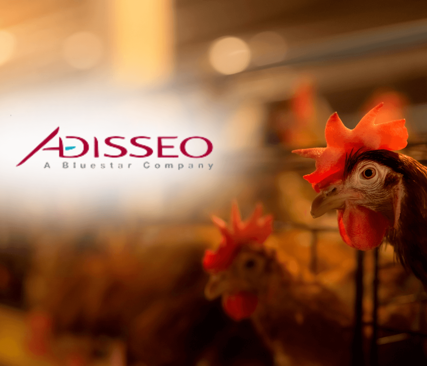 A Adisseo compartilha sua expertise como um dos maiores produtores...