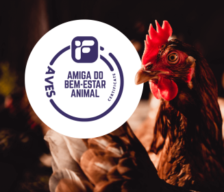 Ceva Saúde Animal e o nobre compromisso com o Bem-Estar Animal na avicultura brasileira
