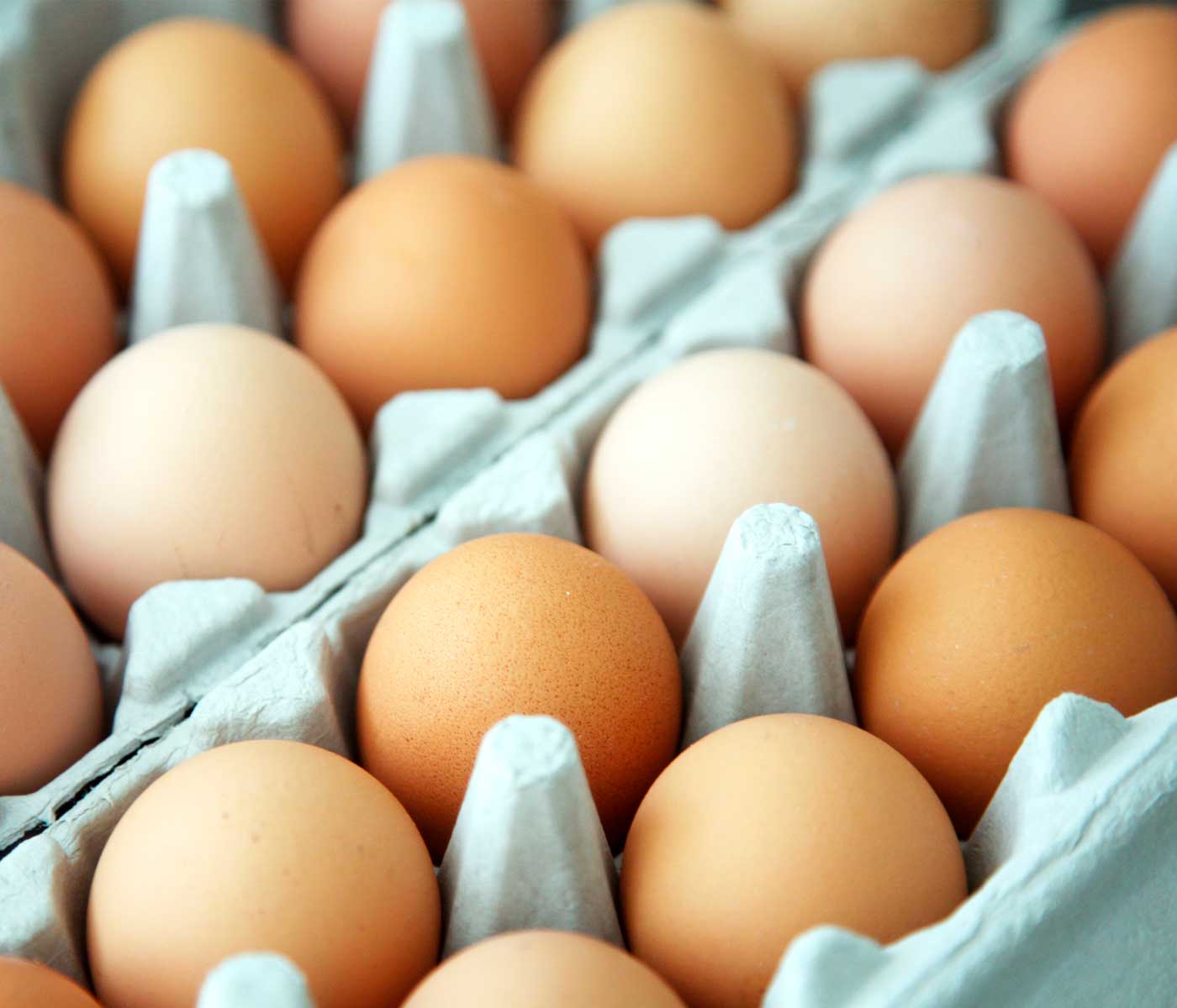 Importan huevos desde Brasil y hay un fuerte enojo entre los productores