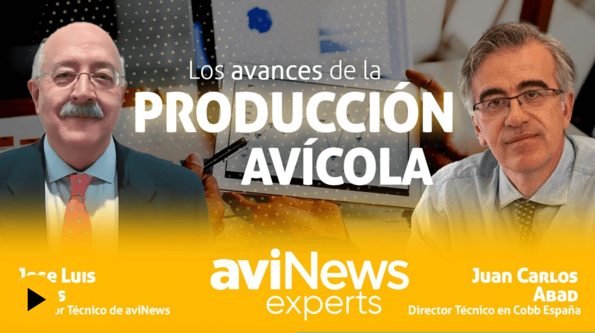 Los AVANCES de la PRODUCCIÓN AVÍCOLA con Juan Carlos Abad
