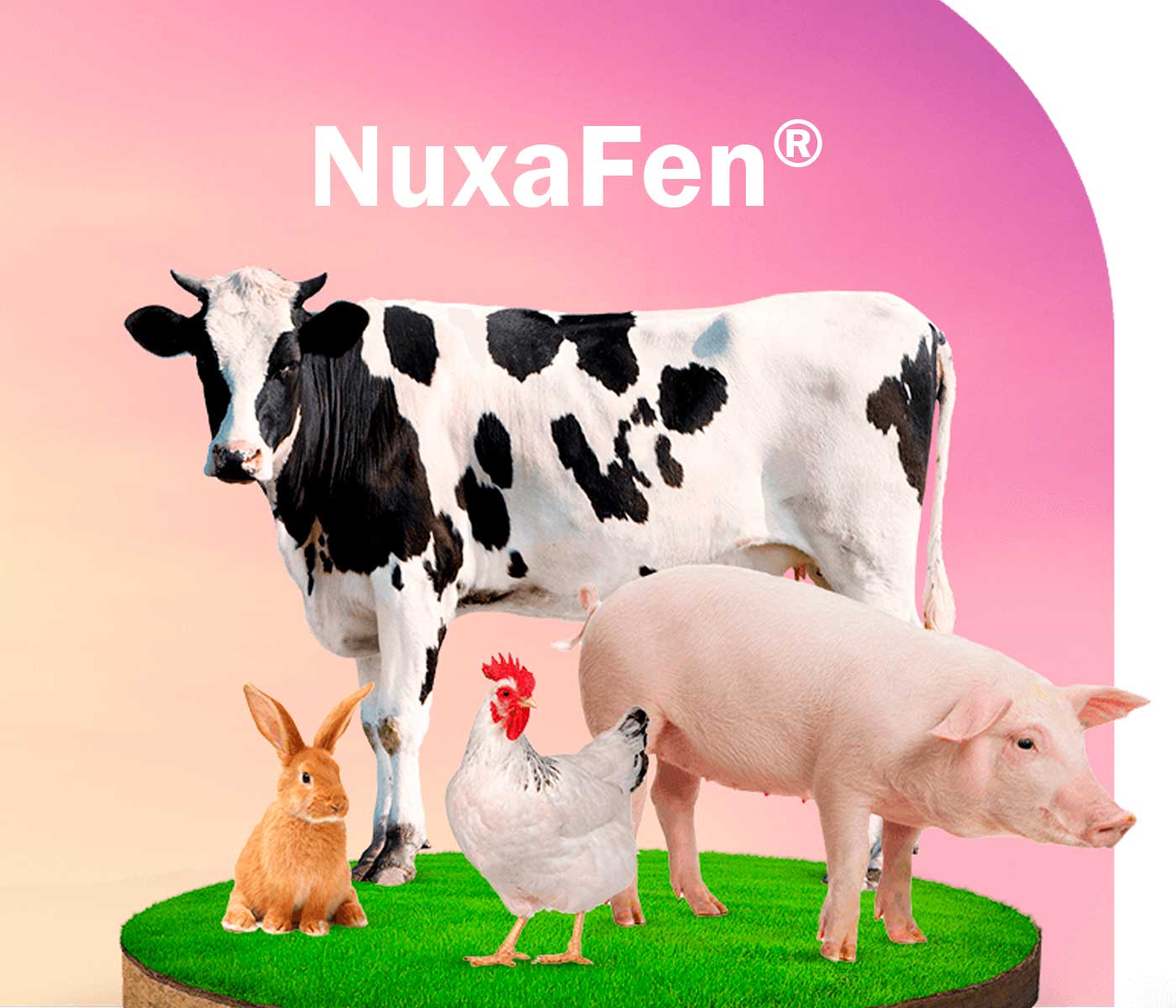 NuxaFen®: innovación antioxidante rentable para la nutrición animal