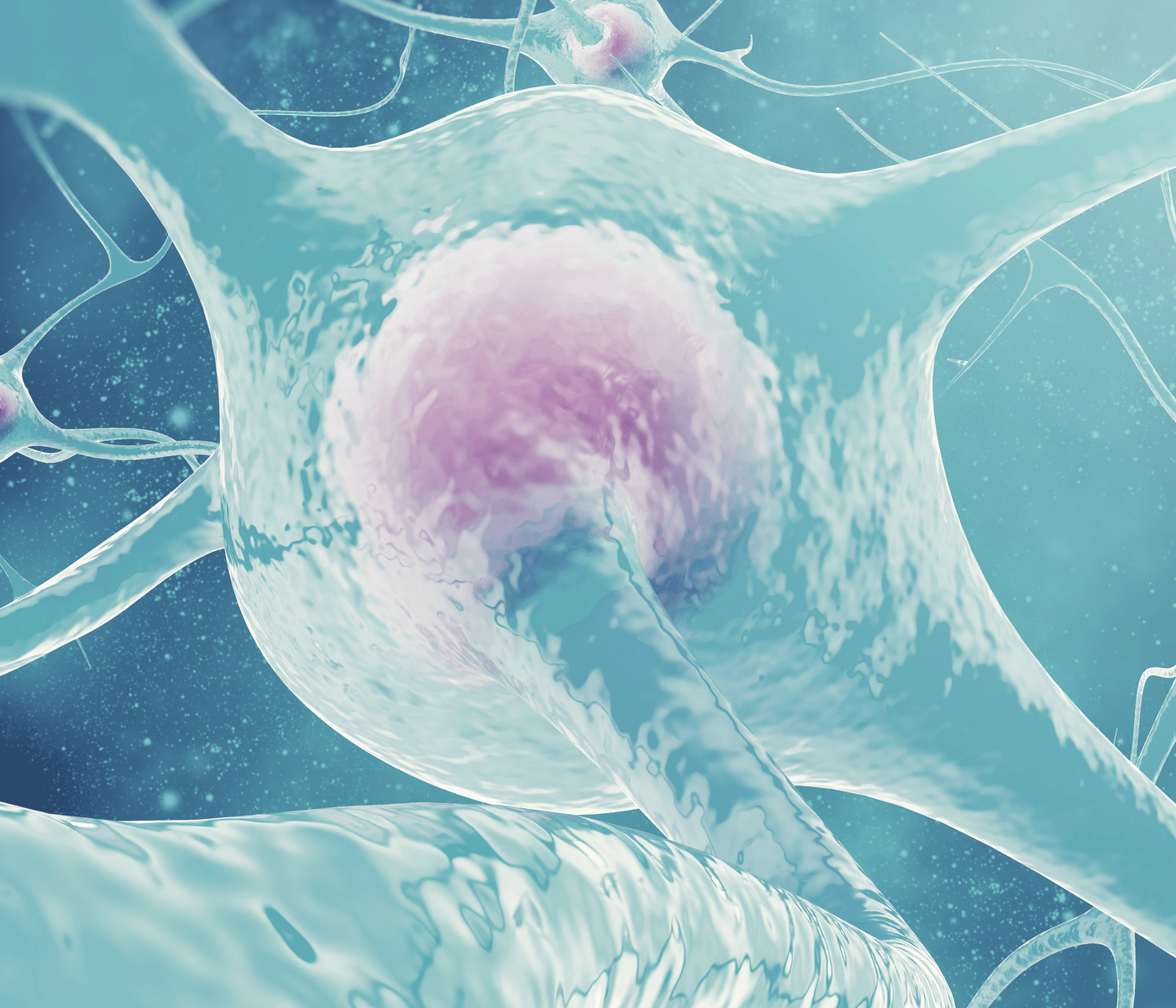 Estudio retrospectivo de tumores de origen desconocido en reproductoras pesadas en EE.UU. (2011-2020)