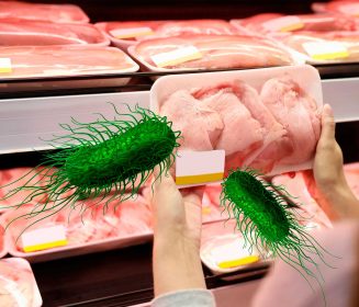 Estrategia de inmunización para salmonellas paratíficas en pollos de engorde: ¿Cuál es el impacto en el frigorífico?