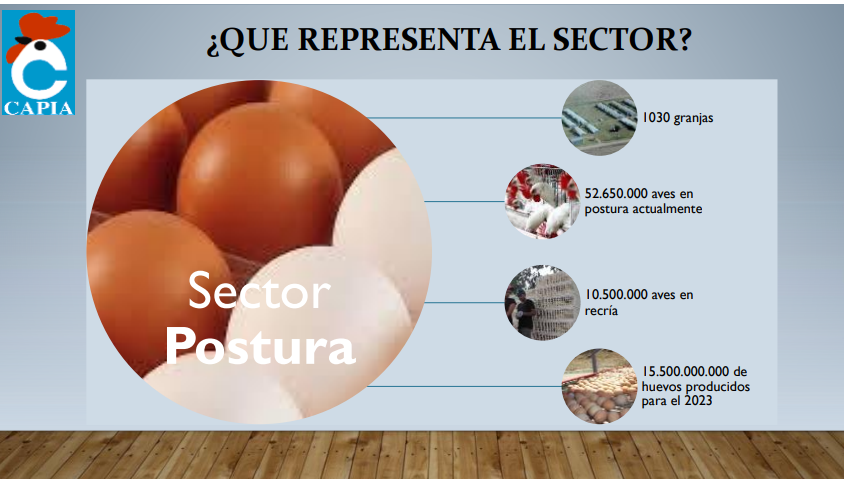 argentina producicón de huevos