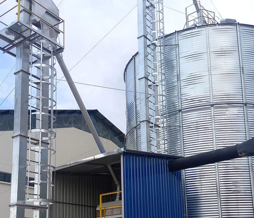 Bolivia: Nueva planta de Alimentos Balanceados abastecerá al sector avícola