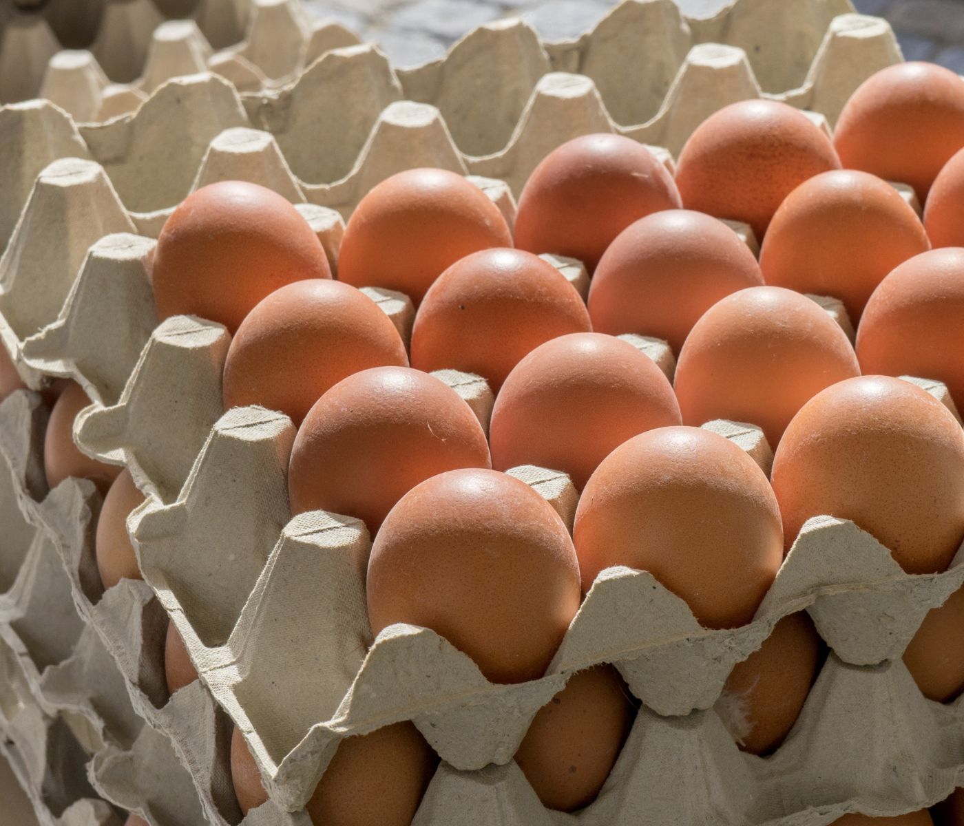 Colombia cierra negociaciones para exportar huevos frescos a Cuba