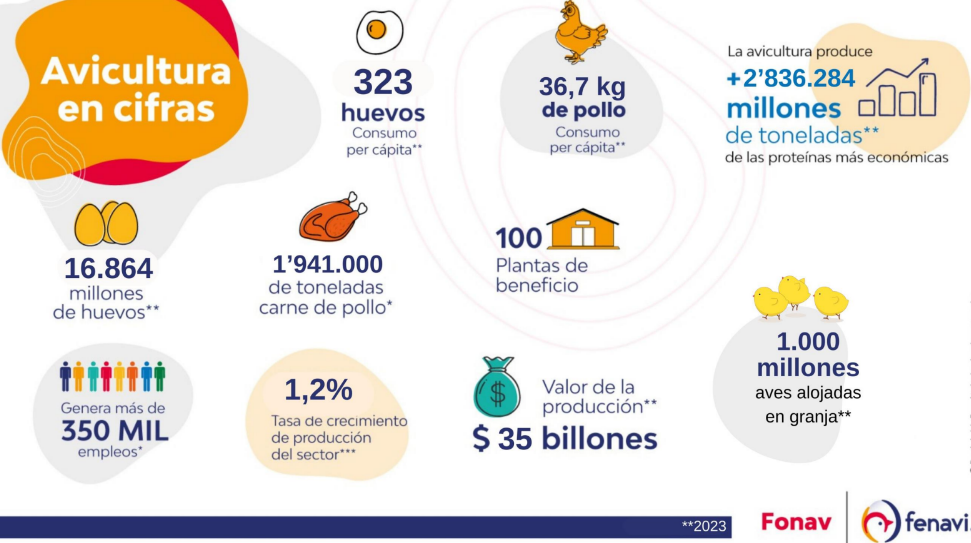 avicultura colombiana en cifras 2023