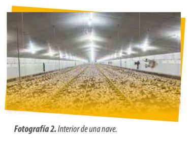 Granja La Carrasquilla: El futuro de la producción de pollos