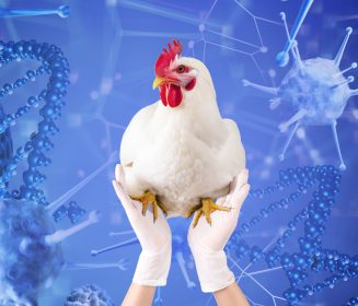 Iamgen Revista Prácticas de Bioseguridad para proteger su granja contra Influenza Aviar