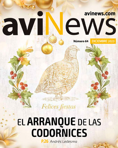 aviNews España Diciembre