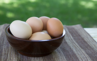 Benefits of cage-free eggs
