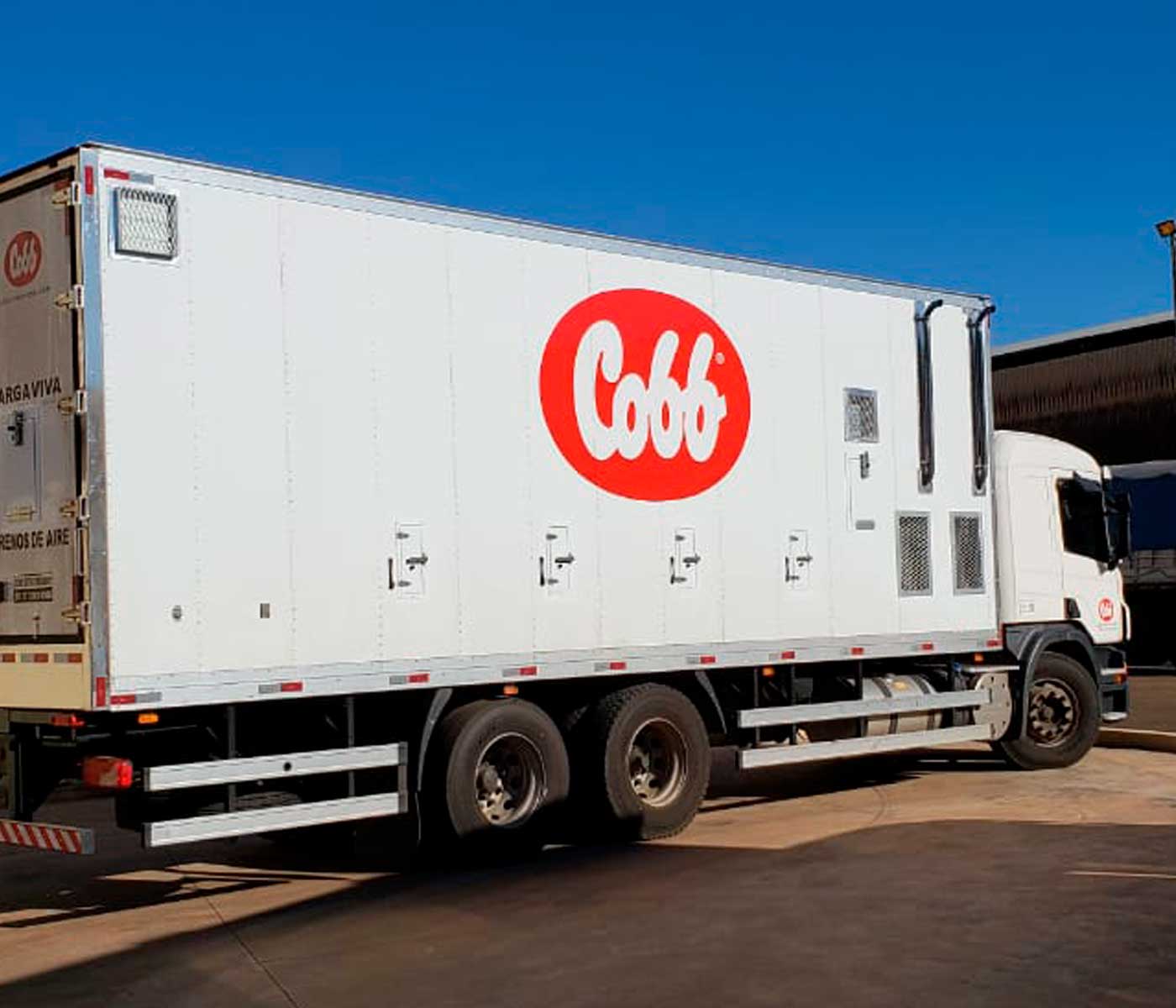 Cobb-Vantress introduce nuevo furgón para transporte de pollitos BB en Perú