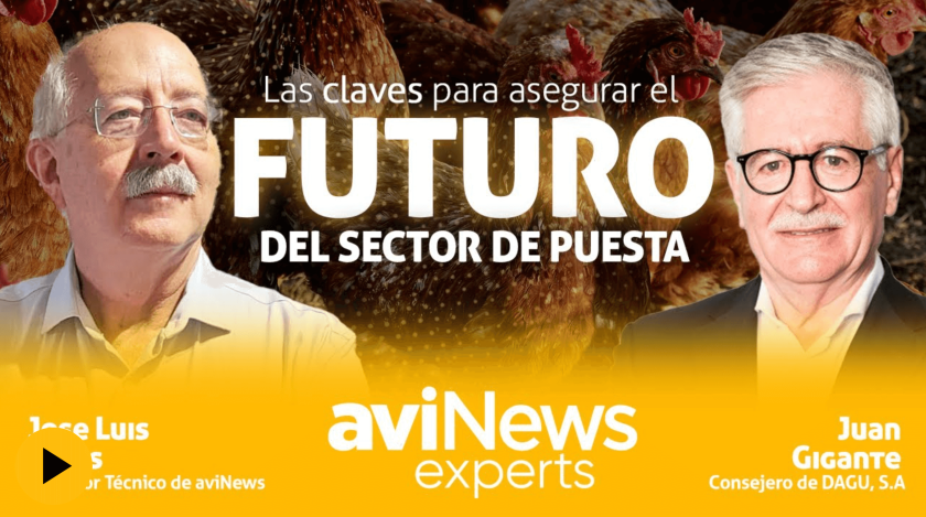 Las claves para asegurar el FUTURO del sector de PUESTA con Juan Gigante – aviNews Experts