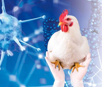 Iamgen Revista Biosecurity Practices to Protect your Farm From Avian Influenza
