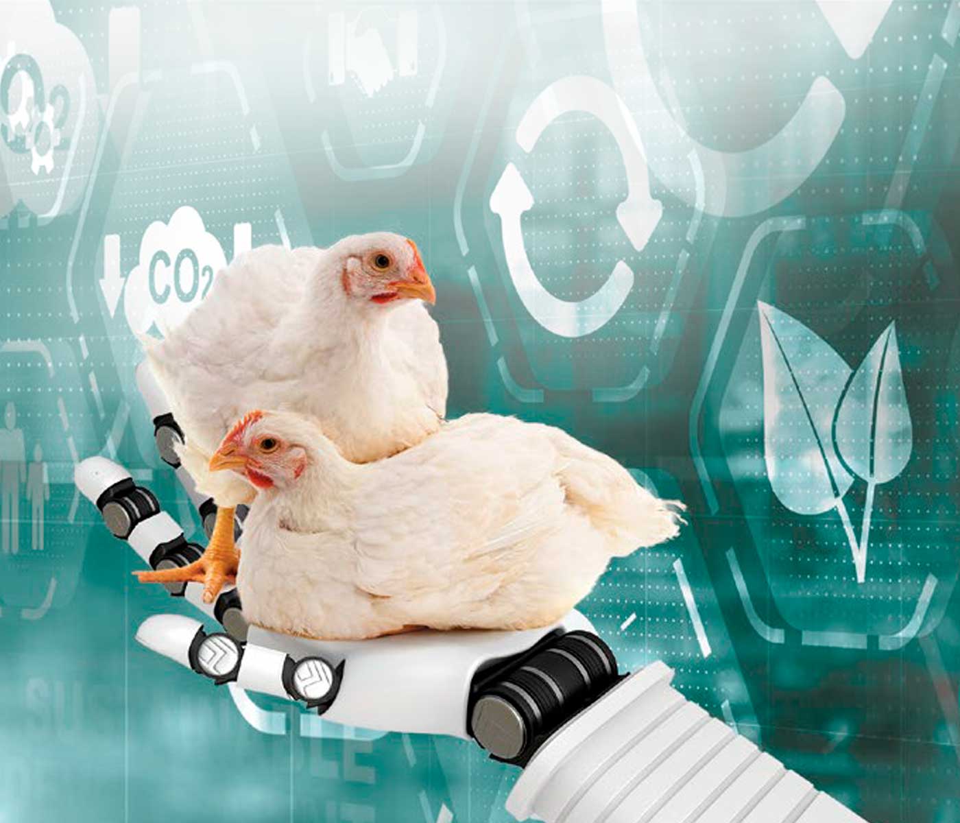 Sustainability for the Poultry Industry