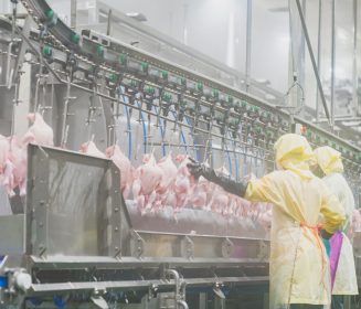 Colombia tiene gran potencial exportador para la carne de pollo