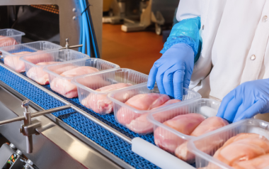 Brazil increases possibilities of export poultry meat to Russia