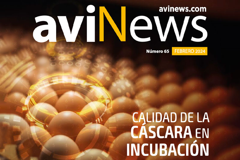 Sumario Ingeniería Avícola instala una clasificadora Ardenta 170 Sanovo en Huevos Velasco