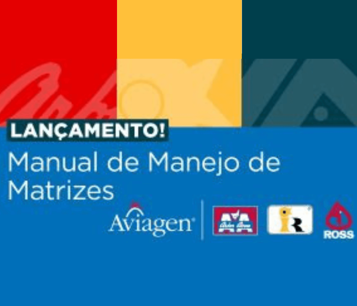 Aviagen lança manuais de manejo de matrizes para as marcas...