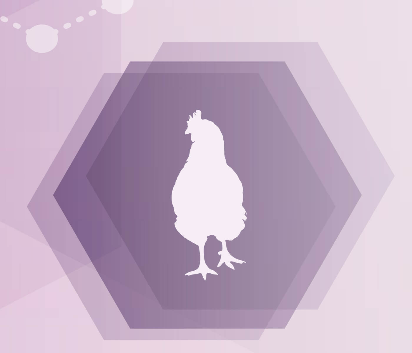 Uso de hormônios na alimentação de frango: mito ou verdade?